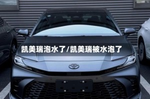 凯美瑞泡水了/凯美瑞被水泡了