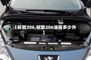 【标致206,标致206油箱多少升】