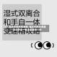 湿式双离合变速箱/湿式双离合变速箱和手自一体变速箱哪个好