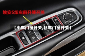 【小车门窗开关,轿车门窗开关】