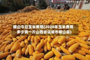 稷山今日玉米费用(2020年玉米费用多少钱一斤山西省运城市稷山县)