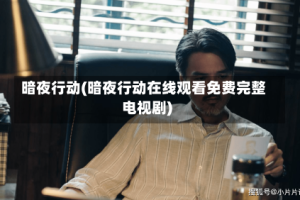 暗夜行动(暗夜行动在线观看免费完整电视剧)