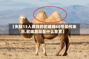 【失联13人要找的驼峰线60号是何来历,驼峰路段是什么意思】