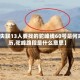 【失联13人要找的驼峰线60号是何来历,驼峰路段是什么意思】