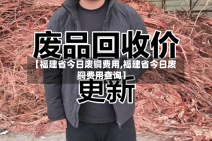 【福建省今日废铜费用,福建省今日废铜费用查询】