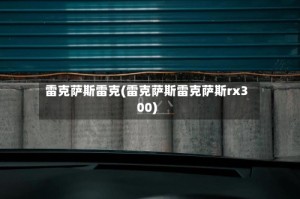 雷克萨斯雷克(雷克萨斯雷克萨斯rx300)