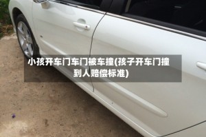 小孩开车门车门被车撞(孩子开车门撞到人赔偿标准)