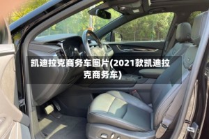 凯迪拉克商务车图片(2021款凯迪拉克商务车)