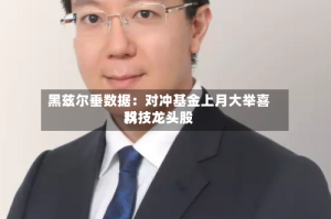 黑兹尔垂数据：对冲基金上月大举喜欢科技龙头股