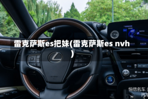 雷克萨斯es把妹(雷克萨斯es nvh)