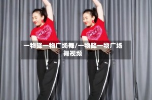 一物降一物广场舞/一物降一物广场舞视频