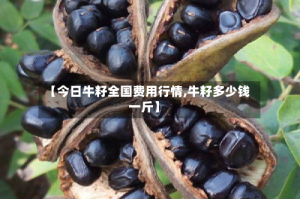 【今日牛籽全国费用行情,牛籽多少钱一斤】