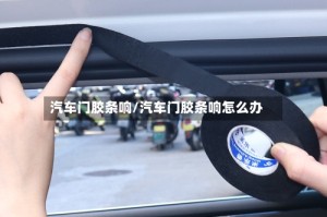 汽车门胶条响/汽车门胶条响怎么办