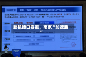 脑机接口赛道，南京“加速跑”