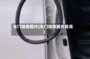 车门链条图片(车门链条图片高清)