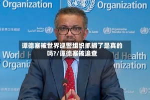 谭德塞被世界巡警组织抓捕了是真的吗?/谭德塞被追查