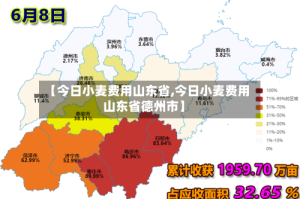 【今日小麦费用山东省,今日小麦费用山东省德州市】