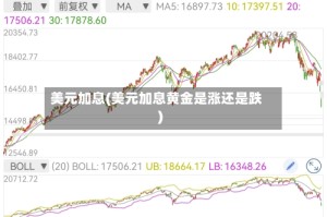美元加息(美元加息黄金是涨还是跌)