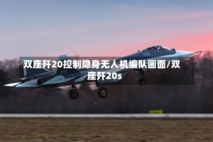 双座歼20控制隐身无人机编队画面/双座歼20s