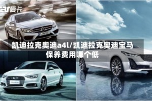 凯迪拉克奥迪a4l/凯迪拉克奥迪宝马保养费用哪个低