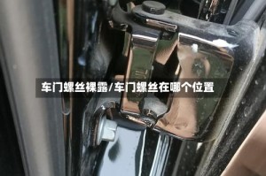 车门螺丝裸露/车门螺丝在哪个位置