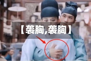【袭胸,袭胸】