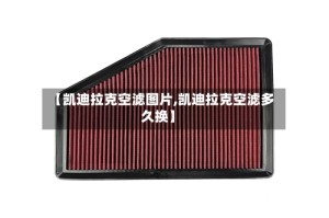 【凯迪拉克空滤图片,凯迪拉克空滤多久换】