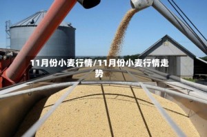 11月份小麦行情/11月份小麦行情走势