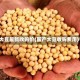 大豆最新收购价(国产大豆收购费用)