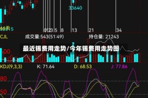 最近锡费用走势/今年锡费用走势图