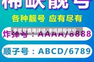 手机号费用评估/手机靓号估价
