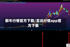 那牛行情官方下载/富远行情app官方下载