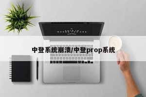 中登系统崩溃/中登prop系统