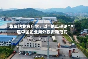华友钴业方启学：以“地瓜理论”打造中国企业海外投资新范式