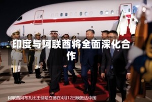 印度与阿联酋将全面深化合作