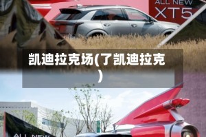 凯迪拉克场(了凯迪拉克)