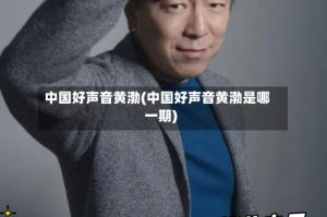 中国好声音黄渤(中国好声音黄渤是哪一期)