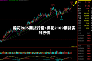 棉花l905期货行情/棉花2109期货实时行情