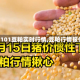 【2101豆粕实时行情,豆粕行情报价】