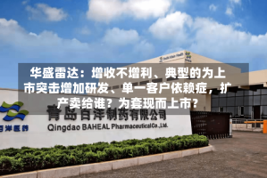华盛雷达：增收不增利、典型的为上市突击增加研发、单一客户依赖症，扩产卖给谁？为套现而上市？