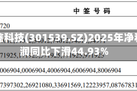 宏鑫科技(301539.SZ)2025年净利润同比下滑44.93%