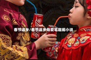春节返乡/春节返乡母爱笔趣阁小说