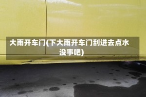 大雨开车门(下大雨开车门刮进去点水没事吧)
