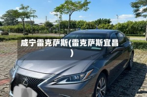 咸宁雷克萨斯(雷克萨斯宜昌)