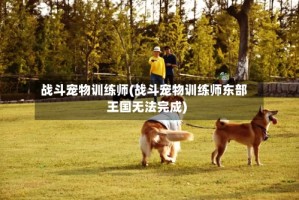 战斗宠物训练师(战斗宠物训练师东部王国无法完成)