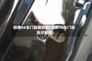 哈佛h6车门锁解剖图(哈弗h6车门锁块分解图)
