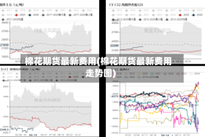 棉花期货最新费用(棉花期货最新费用走势图)