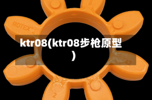 ktr08(ktr08步枪原型)