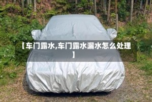 【车门露水,车门露水漏水怎么处理】