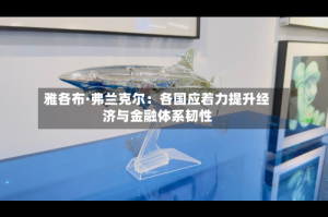 雅各布·弗兰克尔：各国应着力提升经济与金融体系韧性